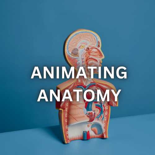 ANIMATING ANATOMY